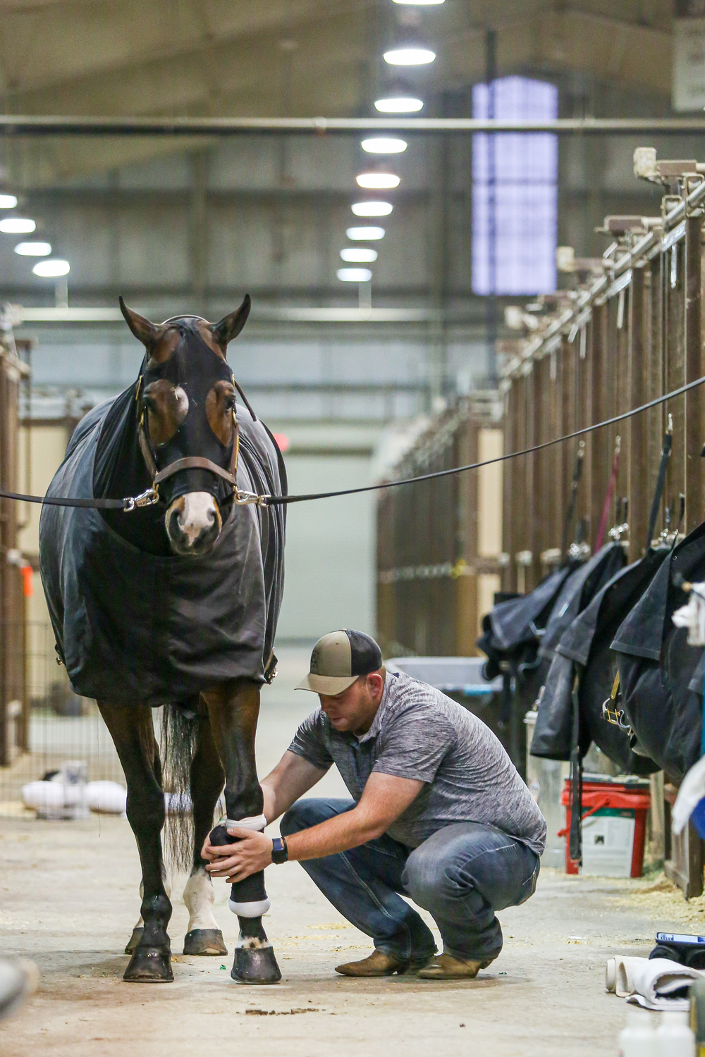 Prairie Classic Candids 2021 Show Horse Today