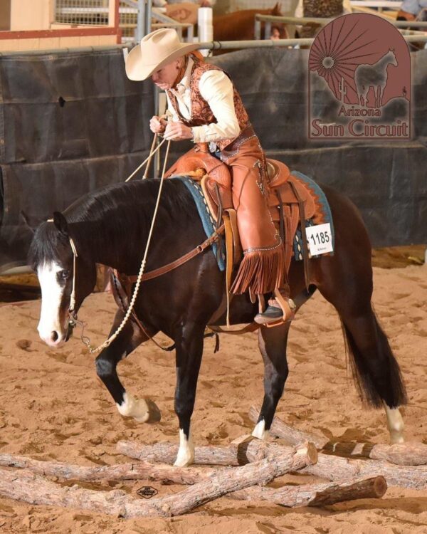 Learn To Win at Ranch Riding - Show Horse Today