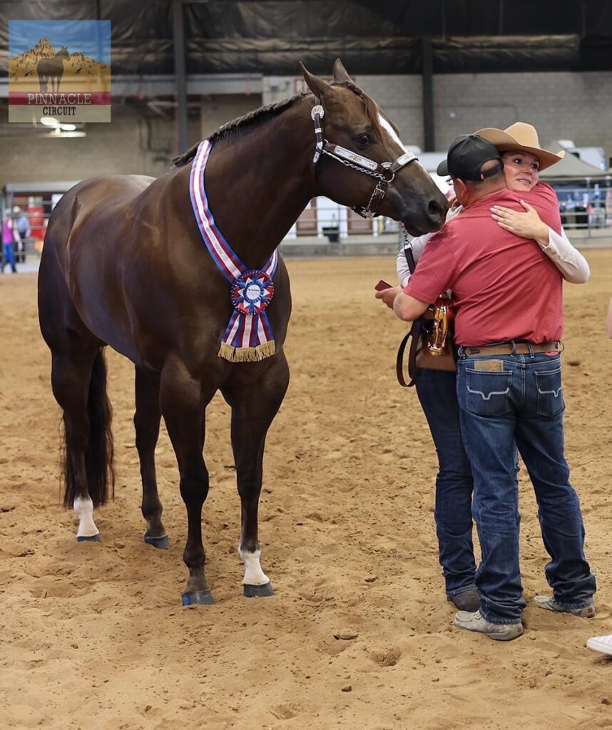 Level 1 West & Pinnacle Circuit Candids - Show Horse Today