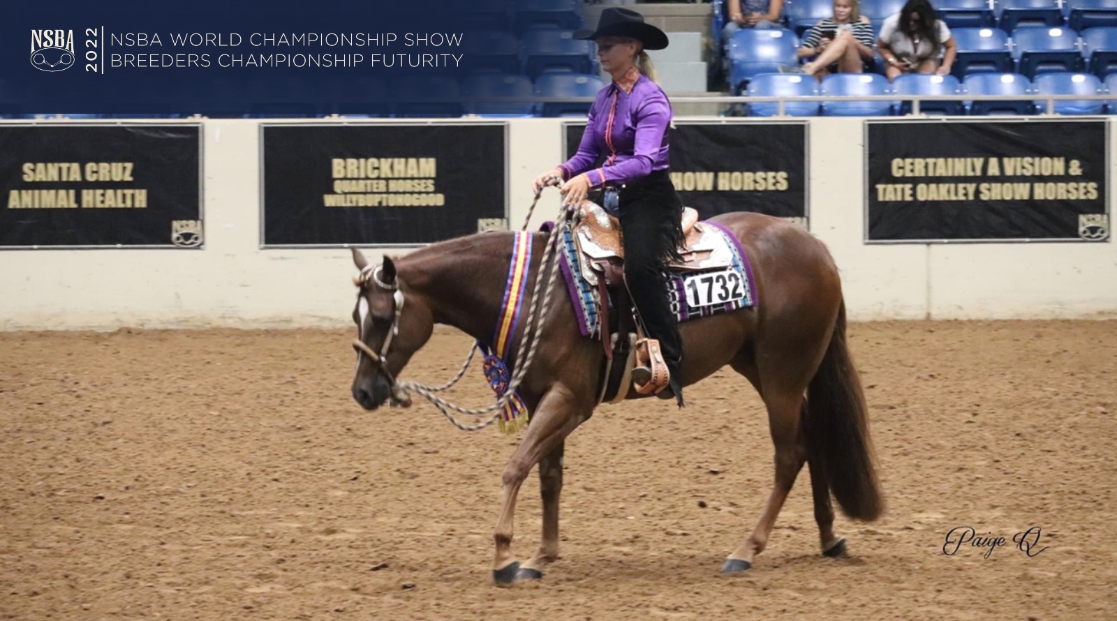 Enter Online Now for the 2022 NSBA World Show Show Horse Today