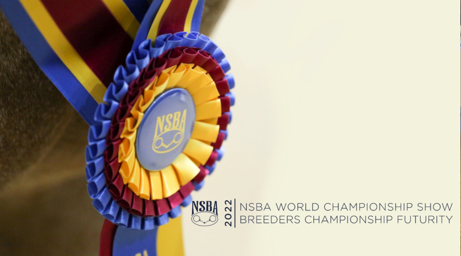 NSBA World Show Announces New Classes for 2022 Show Horse Today