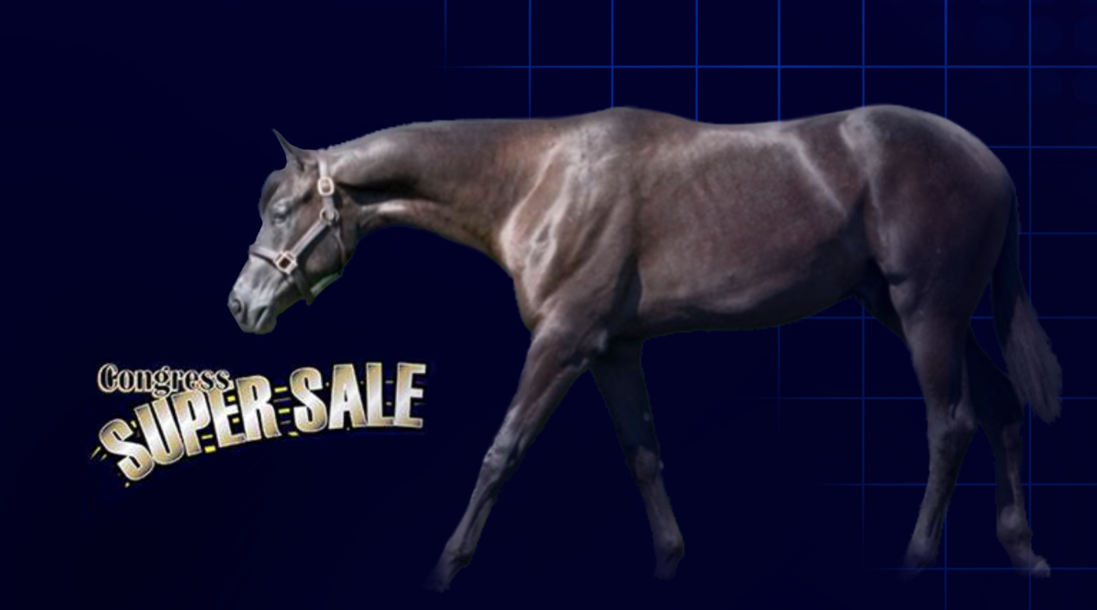 Congress Super Sale A Last Chance to Enter Show Horse Today