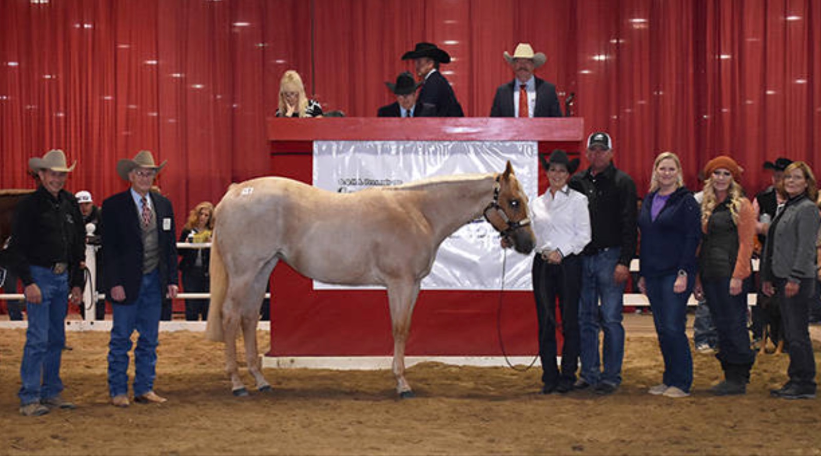 2022 CONGRESS SALES RECAP Show Horse Today