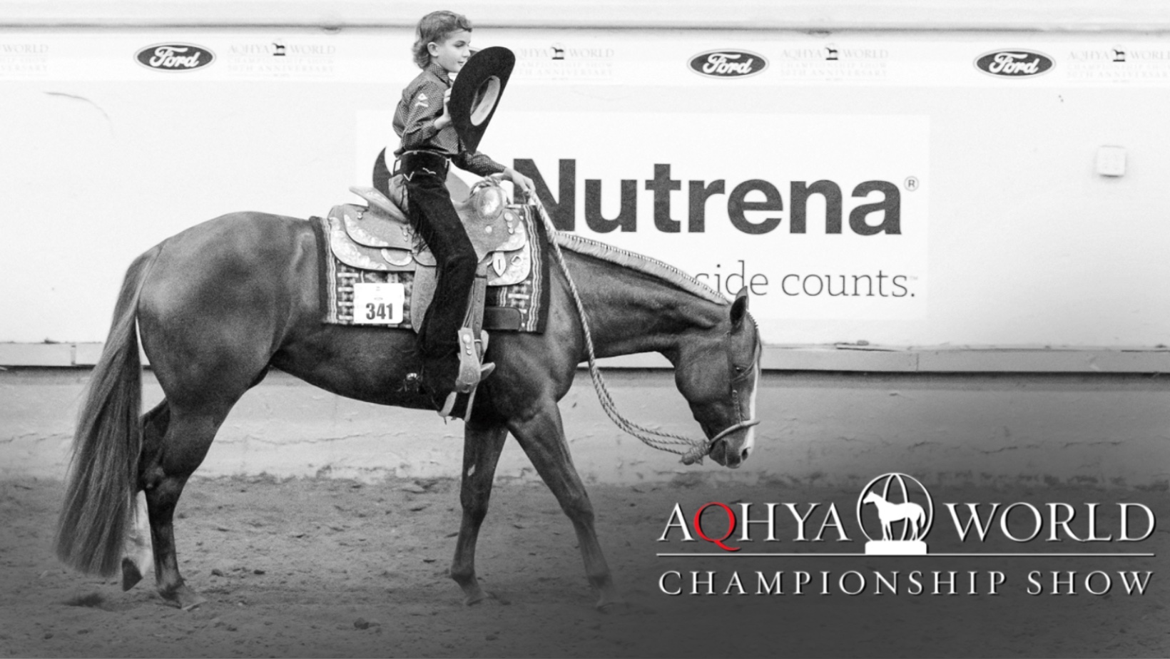 AQHYA World Show Coverage Show Horse Today