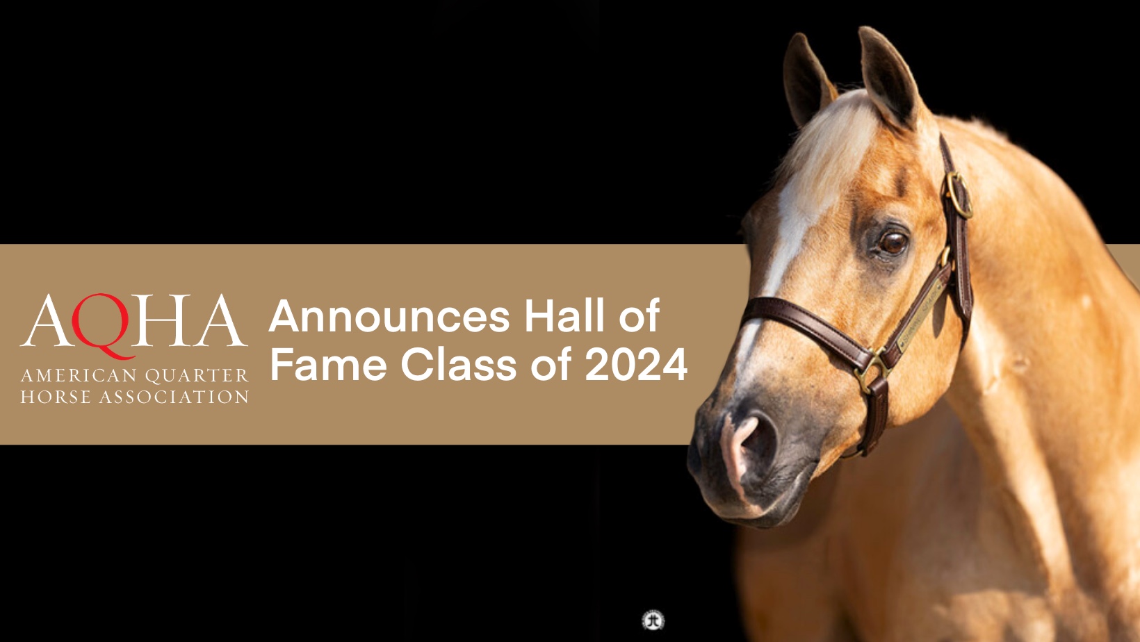 AQHA Announces Hall of Fame Class of 2024 Show Horse Today