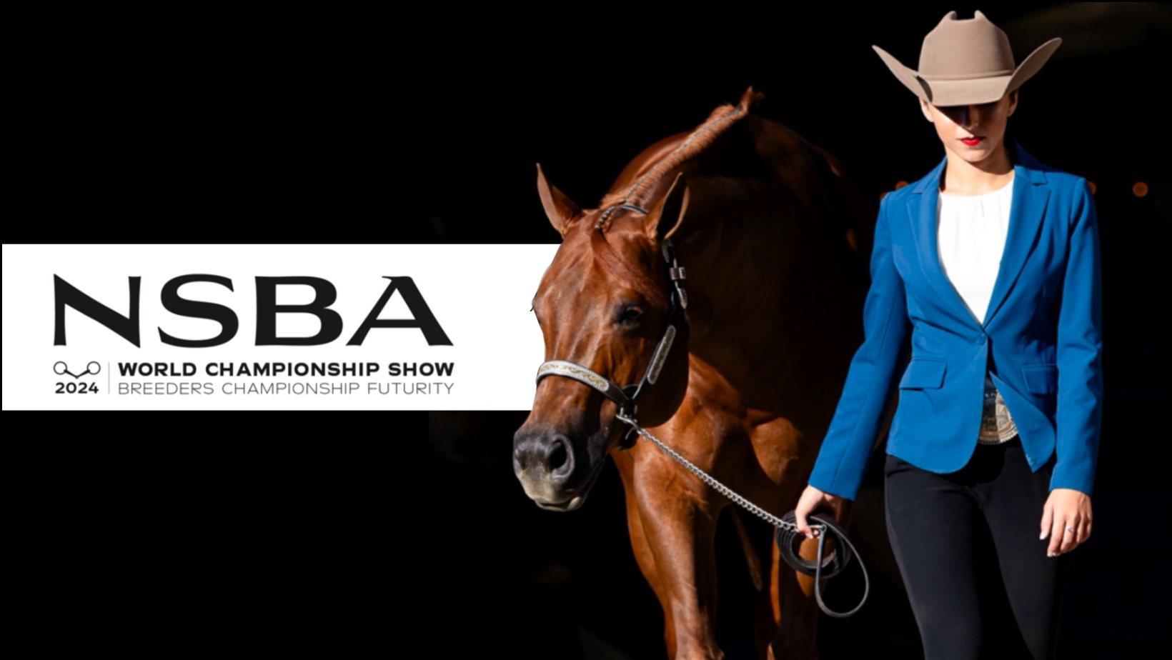 Check out the NSBA World Show Schedule and New Classes! Show Horse Today