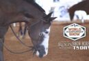 Rod’s True Western Candids – APHA World Show