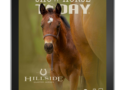 2024 Foals and Shows Issue of Show Horse Today is Live!