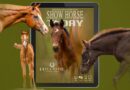 2024 Foals and Shows Issue of Show Horse Today is Live!