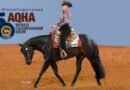 AQHA All-Around Amateur Crowned