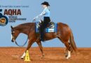 Susan Wilson Crowned AQHA World Show Select All- Around Champion