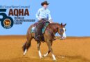 Sumac Gunnabeflashy Crowned 2024 AQHA Superhorse